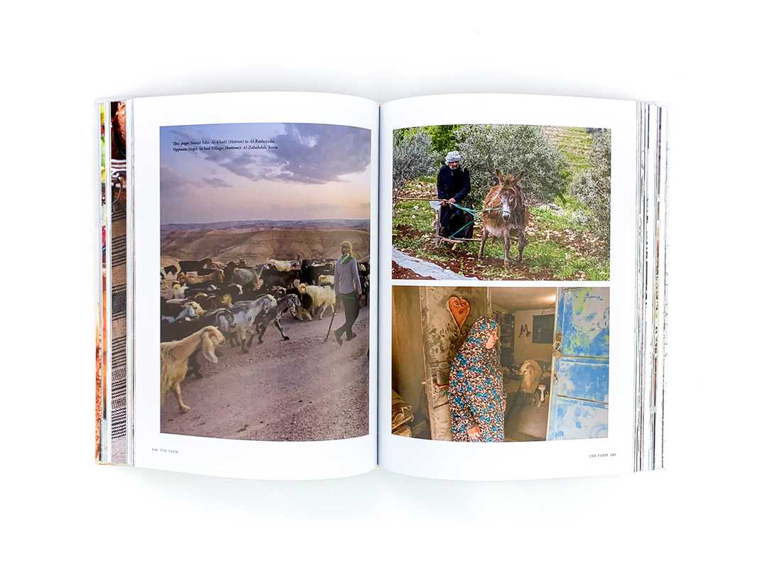 Baladi by Joudie Kalla: Flexibound; 256 pages / English
