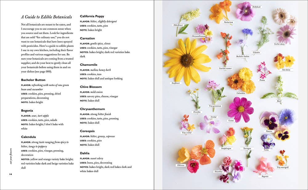 Eat Your Flowers: Loria Stern