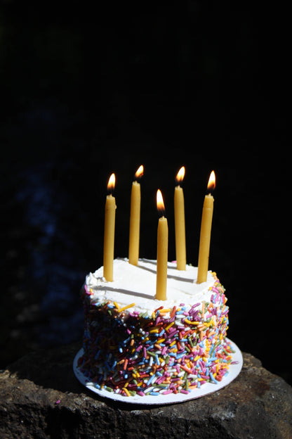 Beeswax Birthday Candles | Meditation & Ritual | Set of 12: 3 inches