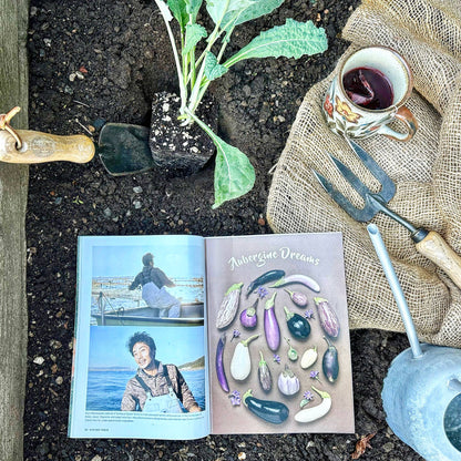 Kitchen Table #4: The Rebuild Issue | Food Magazine