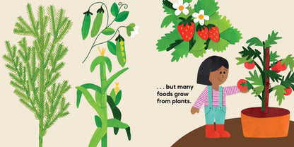Our Food Grows by Sarah M. White: Hardcover; 32 pages / English