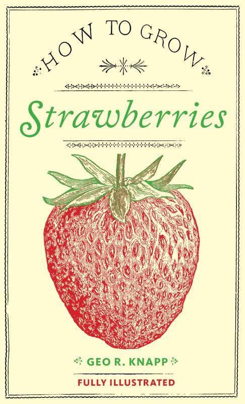 How to Grow Strawberries (Microcosm Country Wisdom Zine)