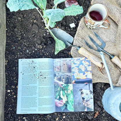 Kitchen Table #4: The Rebuild Issue | Food Magazine