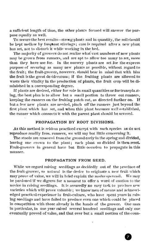 How to Grow Strawberries (Microcosm Country Wisdom Zine)