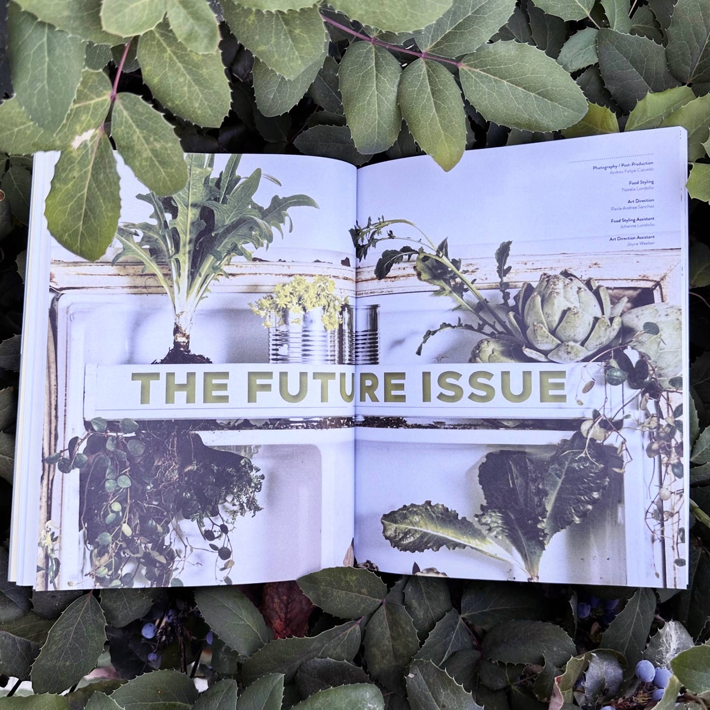 Kitchen Table #7: The Future Issue | Food Magazine