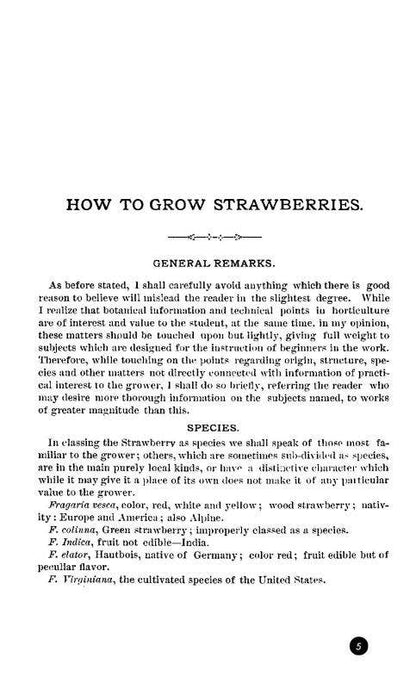 How to Grow Strawberries (Microcosm Country Wisdom Zine)