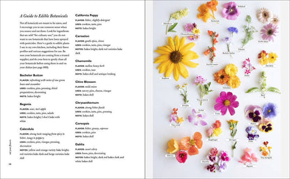 Eat Your Flowers: Loria Stern