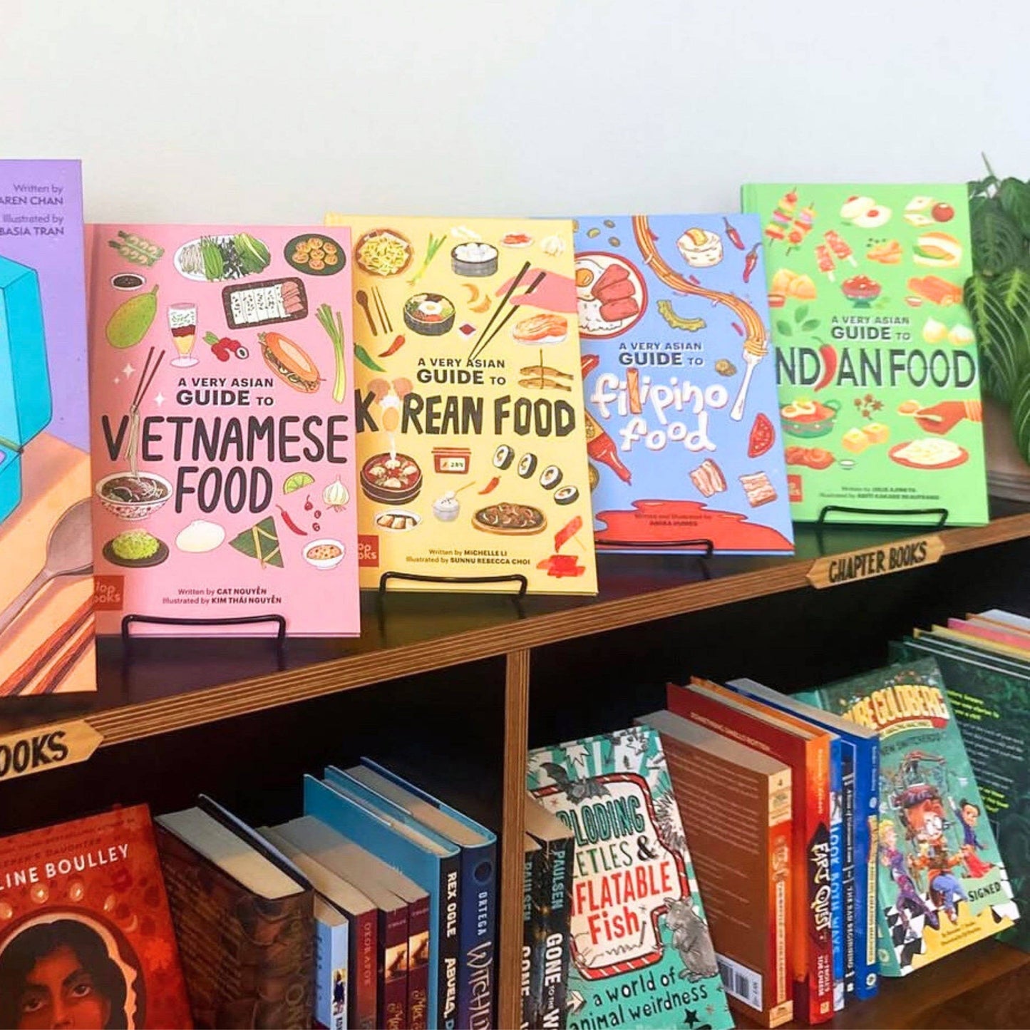 A Very Asian Guide to Indian Food | Kids Picture Book- 3yo+