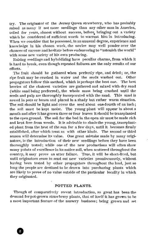 How to Grow Strawberries (Microcosm Country Wisdom Zine)
