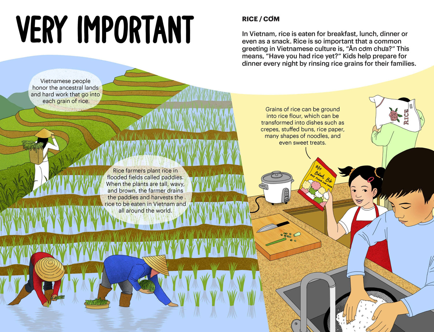 A Very Asian Guide to Vietnamese Food: Picture Book-Ages 3+